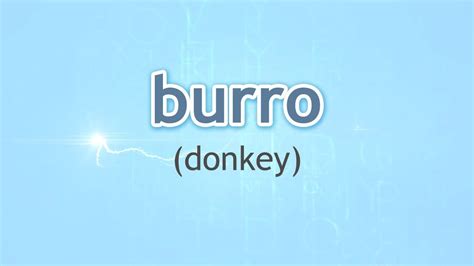 burro translation